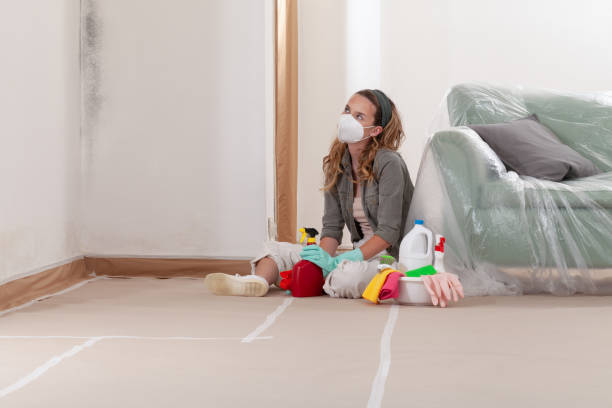 Reliable Bathroom Mold Removal contractor in Ickesburg, PA by WQB Mold Removal